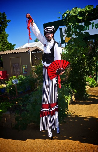 Garden Clown Garden Clown